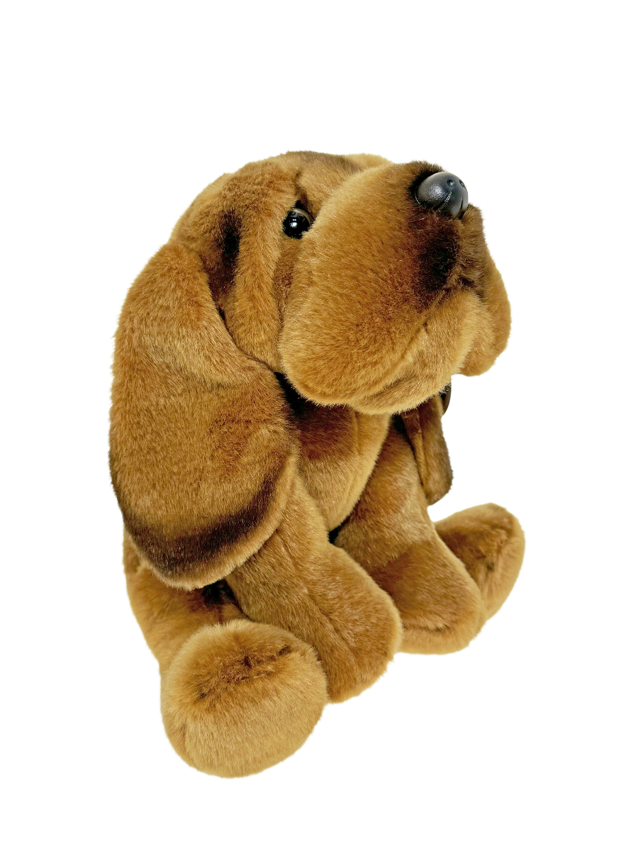 30CM BLOODHOUND PLUSH - Toyworld Frankston