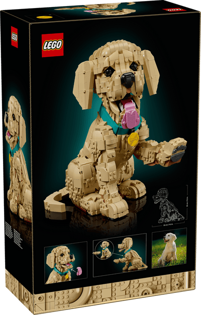 LEGO 11384 ICONS - GOLDEN RETRIEVER PUPPY - Toyworld Frankston