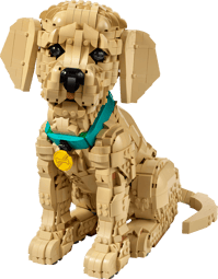 LEGO 11384 ICONS - GOLDEN RETRIEVER PUPPY - Toyworld Frankston