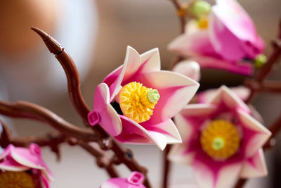 LEGO 11510 BOTANICALS - MAGNOLIA BRANCHES - Toyworld Frankston