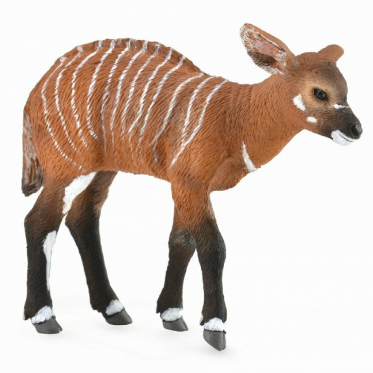 COLLECTA - BONGO CALF