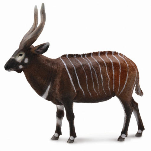 COLLECTA - BONGO ANTELOPE