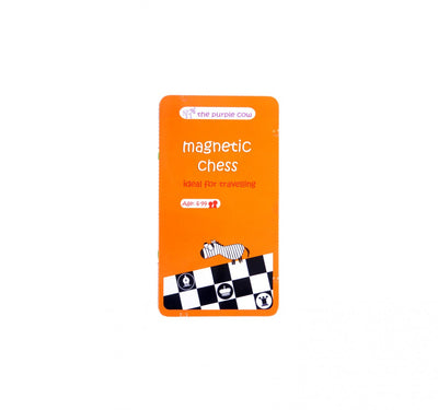 MAGNETIC CHESS