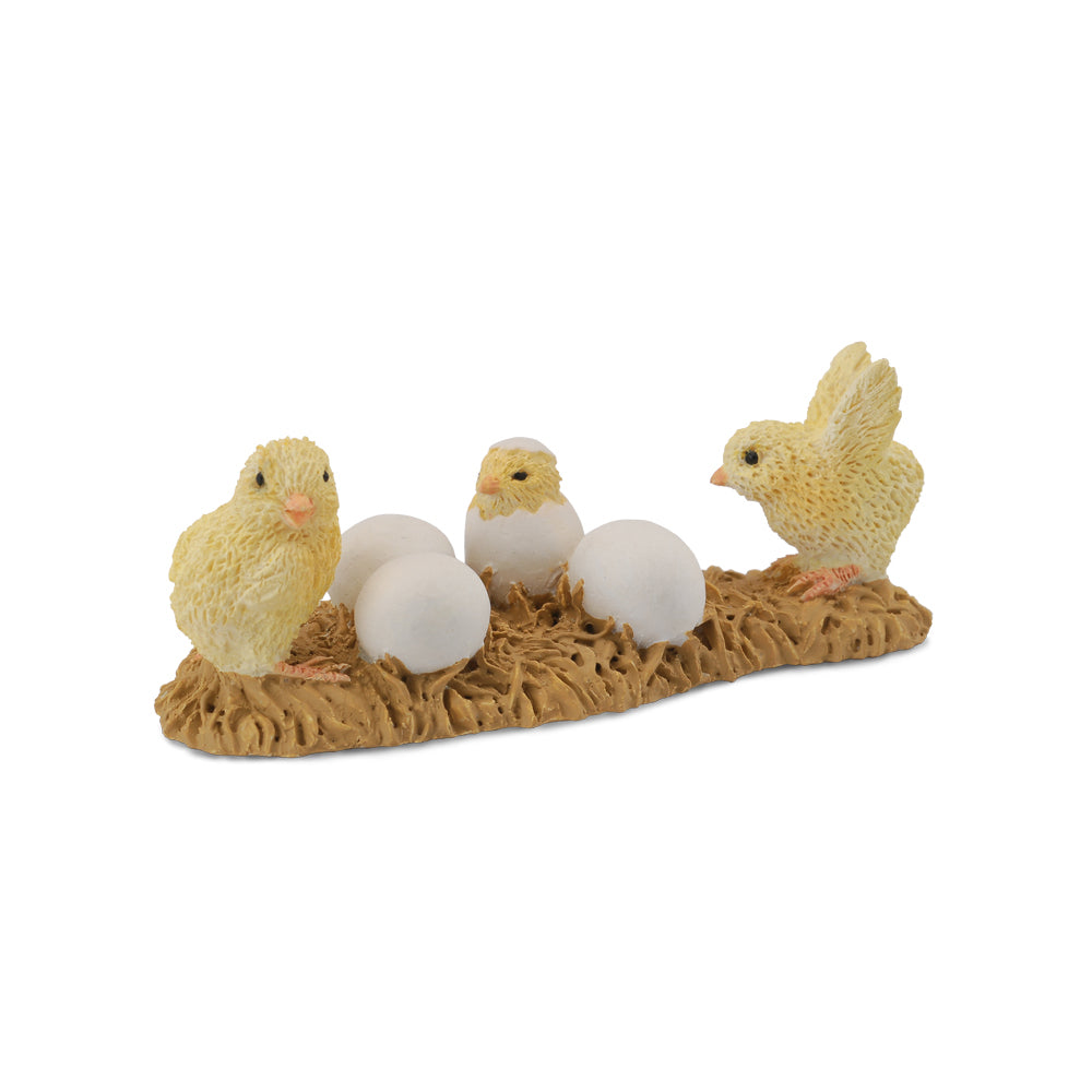 COLLECTA - CHICKS HATCHING (S) - Toyworld Frankston