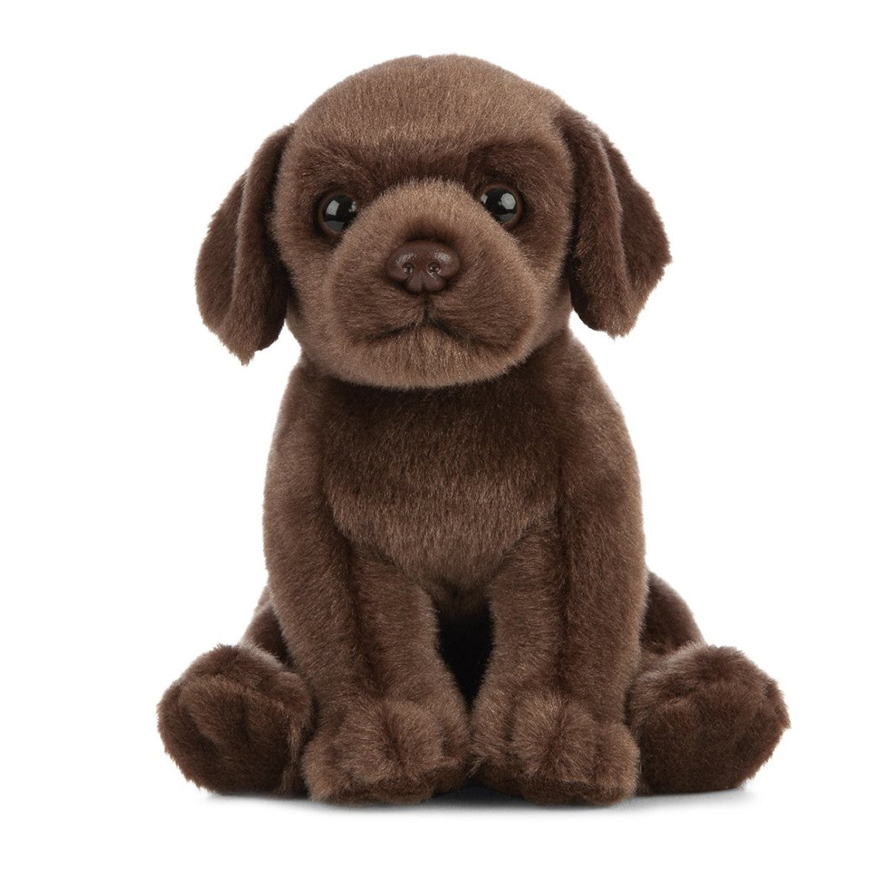 LIVING NATURE - CHOCOLATE LAB PUPPY SMALL PLUSH - Toyworld Frankston