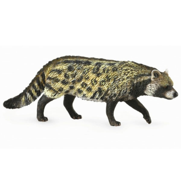 COLLECTA