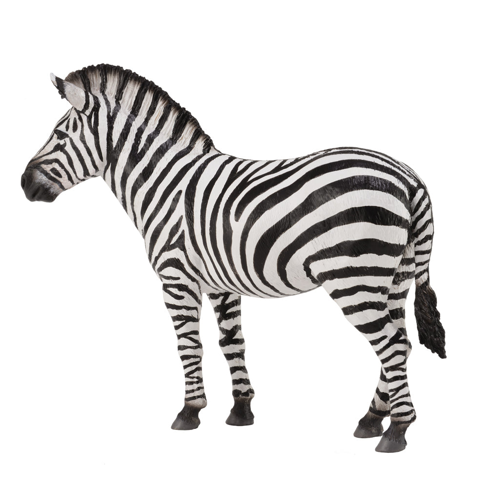 COLLECTA - COMMON ZEBRA - Toyworld Frankston