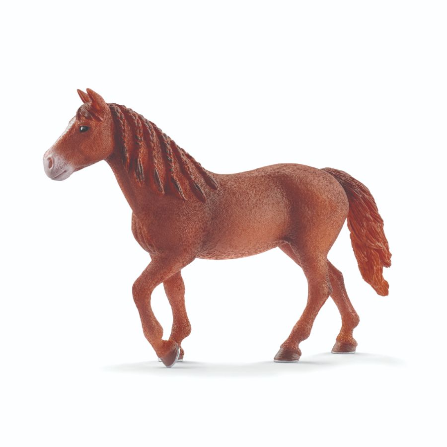 SCHLEICH - MORGAN HORSE MARE - Toyworld Frankston