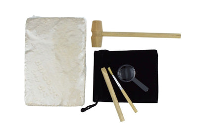 KURIOUS KIDZ CRYSTAL MINING KIT