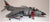TAMIYA 1/48 ROYAL NAVY HAWKER SEA HARRIER FRS.1