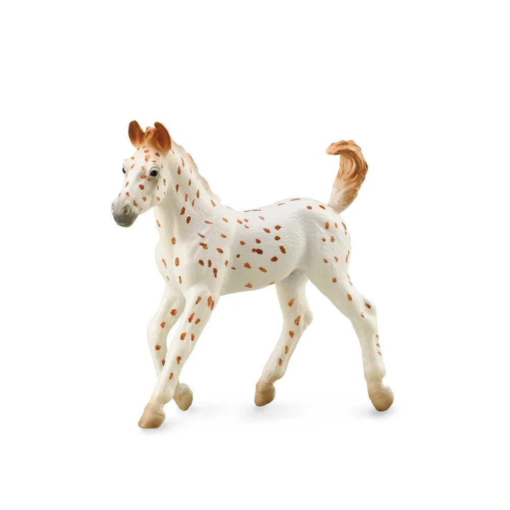 COLLECTAC - KNABSTRUPPER FOAL LEOPARD - Toyworld Frankston