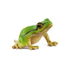 SCHLEICH - EUROPEAN TREE FROG