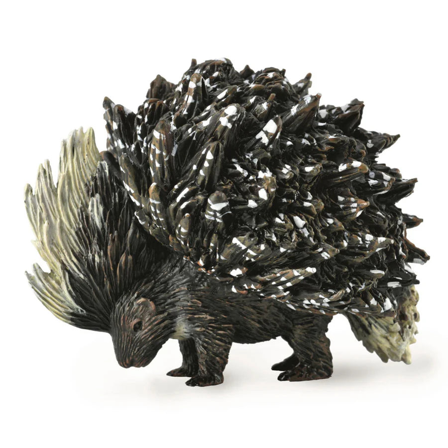 COLLECTA - INDIAN PORCUPINE