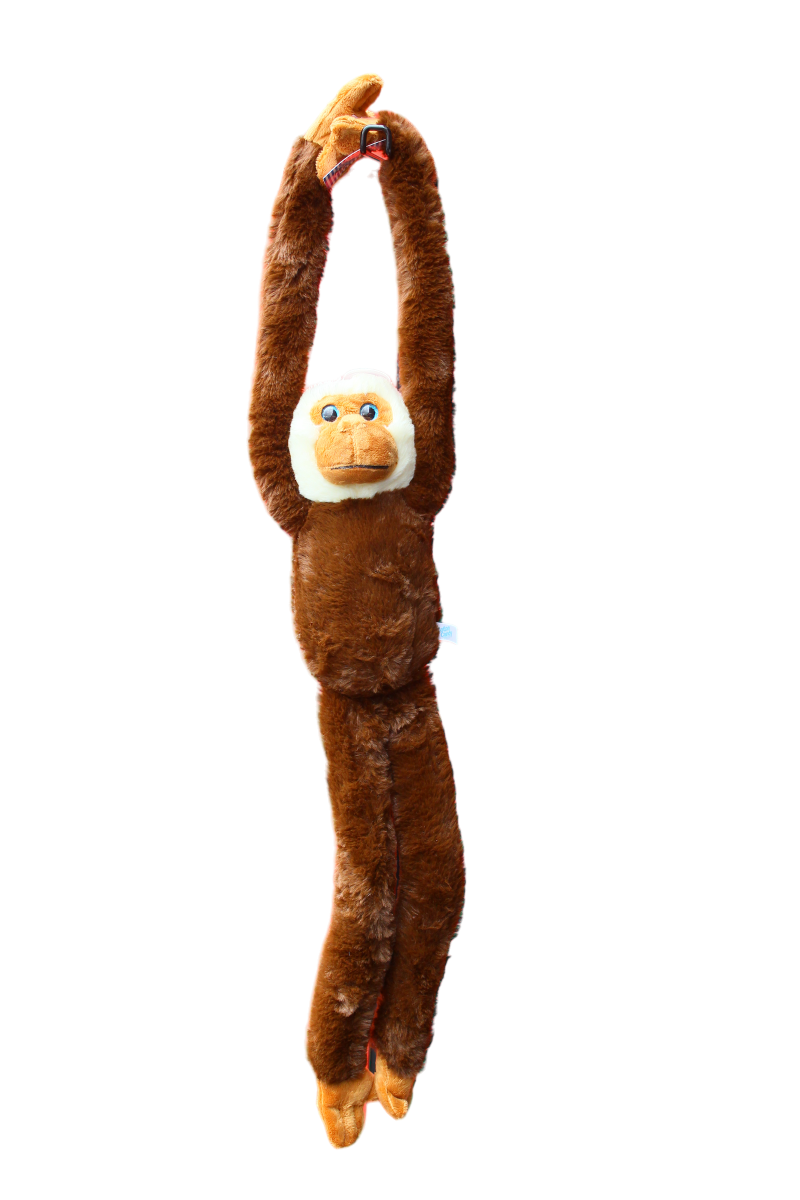 HANGING MONKEY - SEAN BROWN