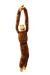 HANGING MONKEY - SEAN BROWN