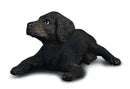 COLLECTA - LABRADOR RETRIEVER PUPPY