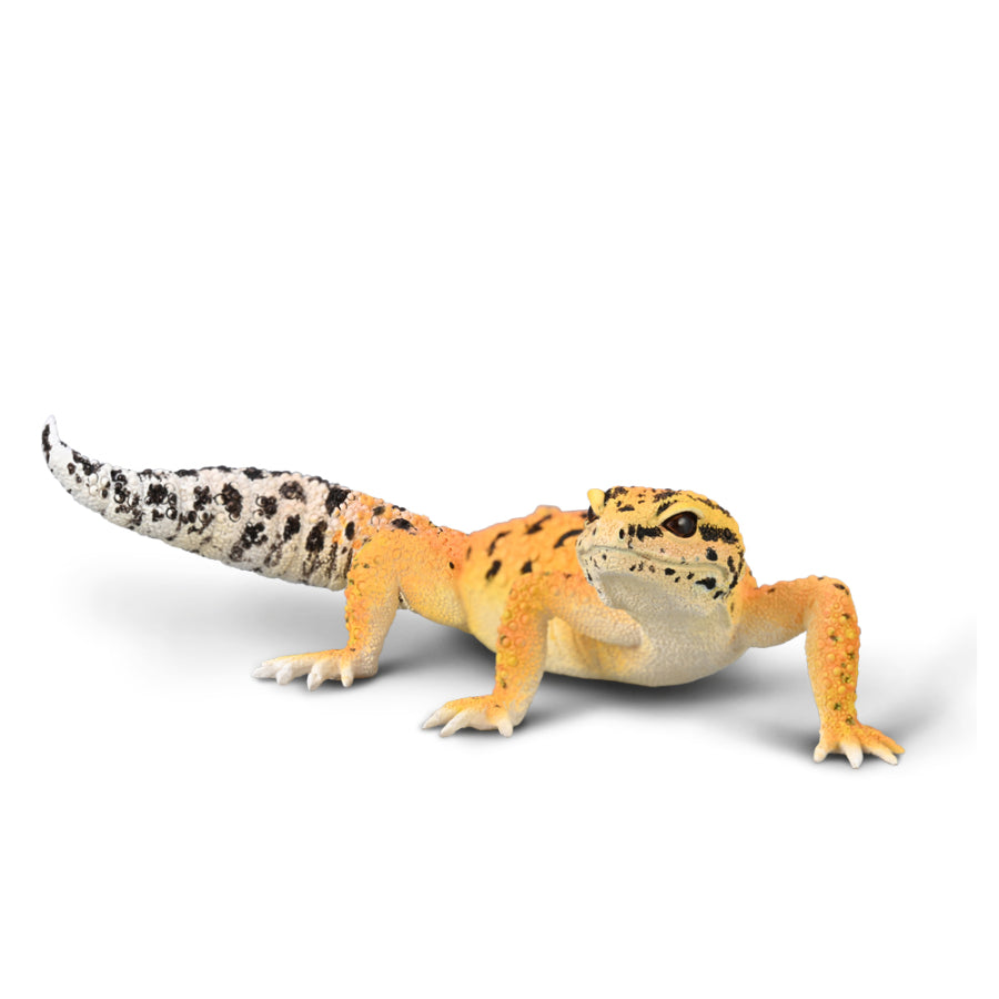 COLLECTA - LEOPARD GECKO - Toyworld Frankston