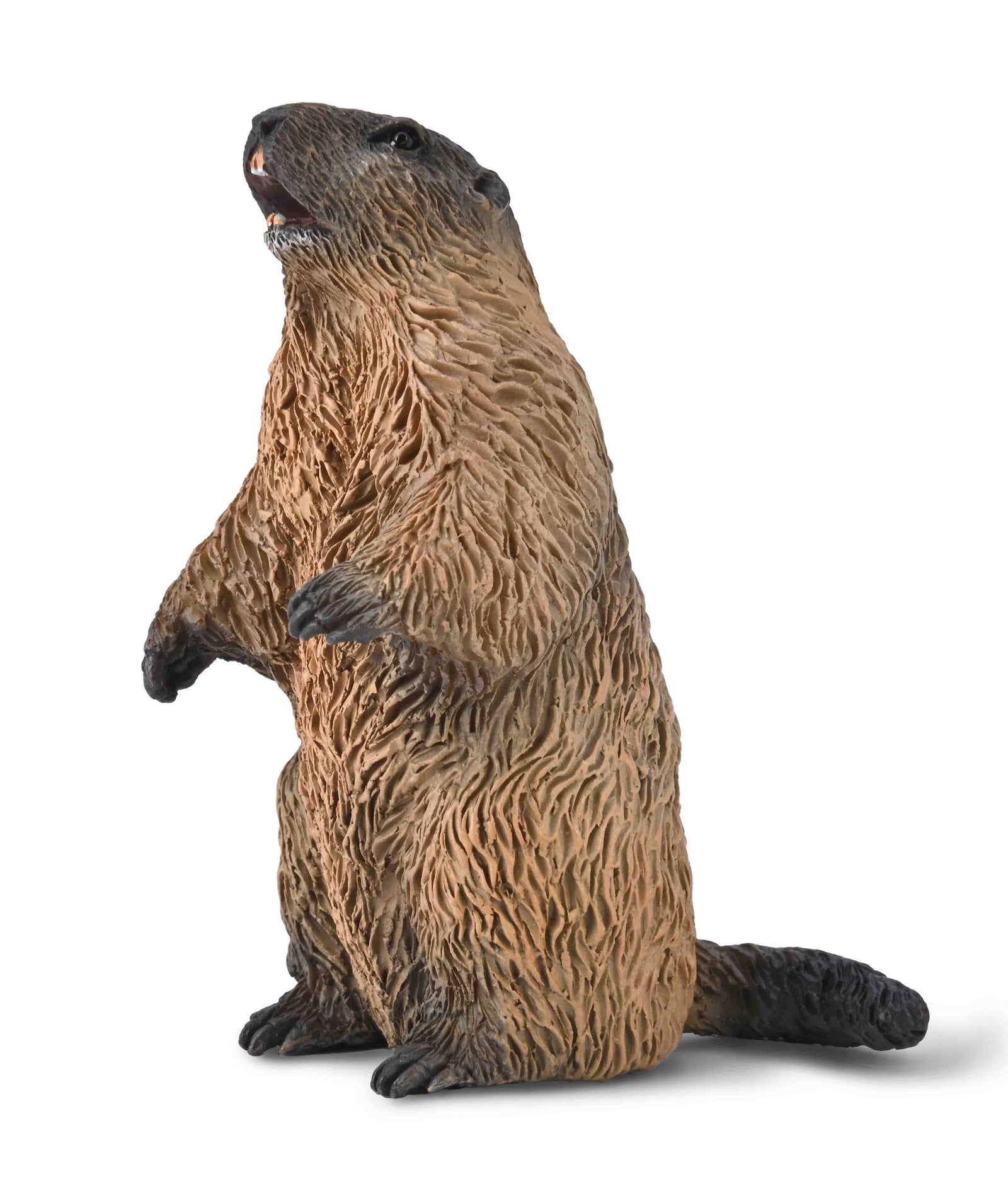 COLLECTA - MARMOT
