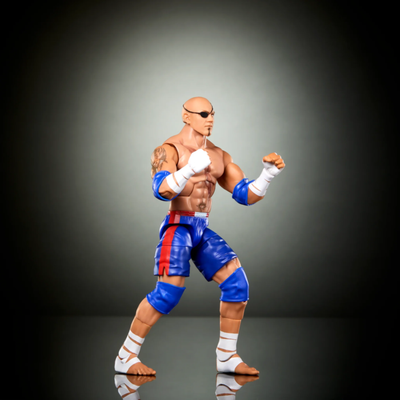 WWE X STREET FIGHTER ELITE COLLECTION - BATISTA AS SAGAT - Toyworld Frankston