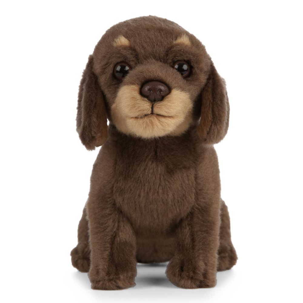 LIVING NATURE - DACHSHUND PUPPY PLUSH 27 CM