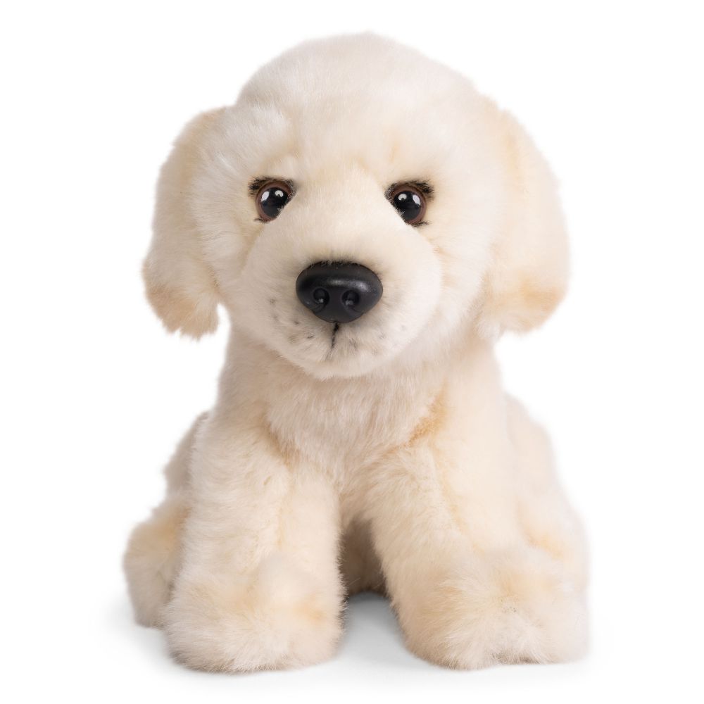LIVING NATURE - GOLDEN LABRADOR PUPPY PLUSH 15 CM - Toyworld Frankston