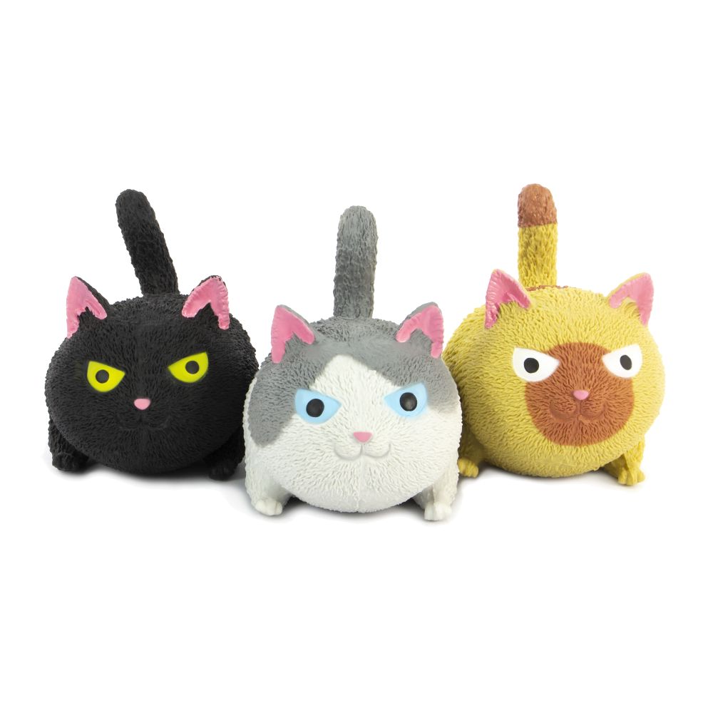 SQUIDGY CAT - Toyworld Frankston