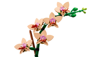 LEGO ICONS BOTANICALS COLLECTION 10343 MINI ORCHID - Toyworld Frankston