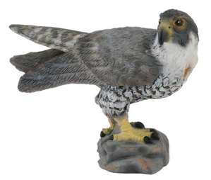 COLLECTA - PEREGRINE FALCON