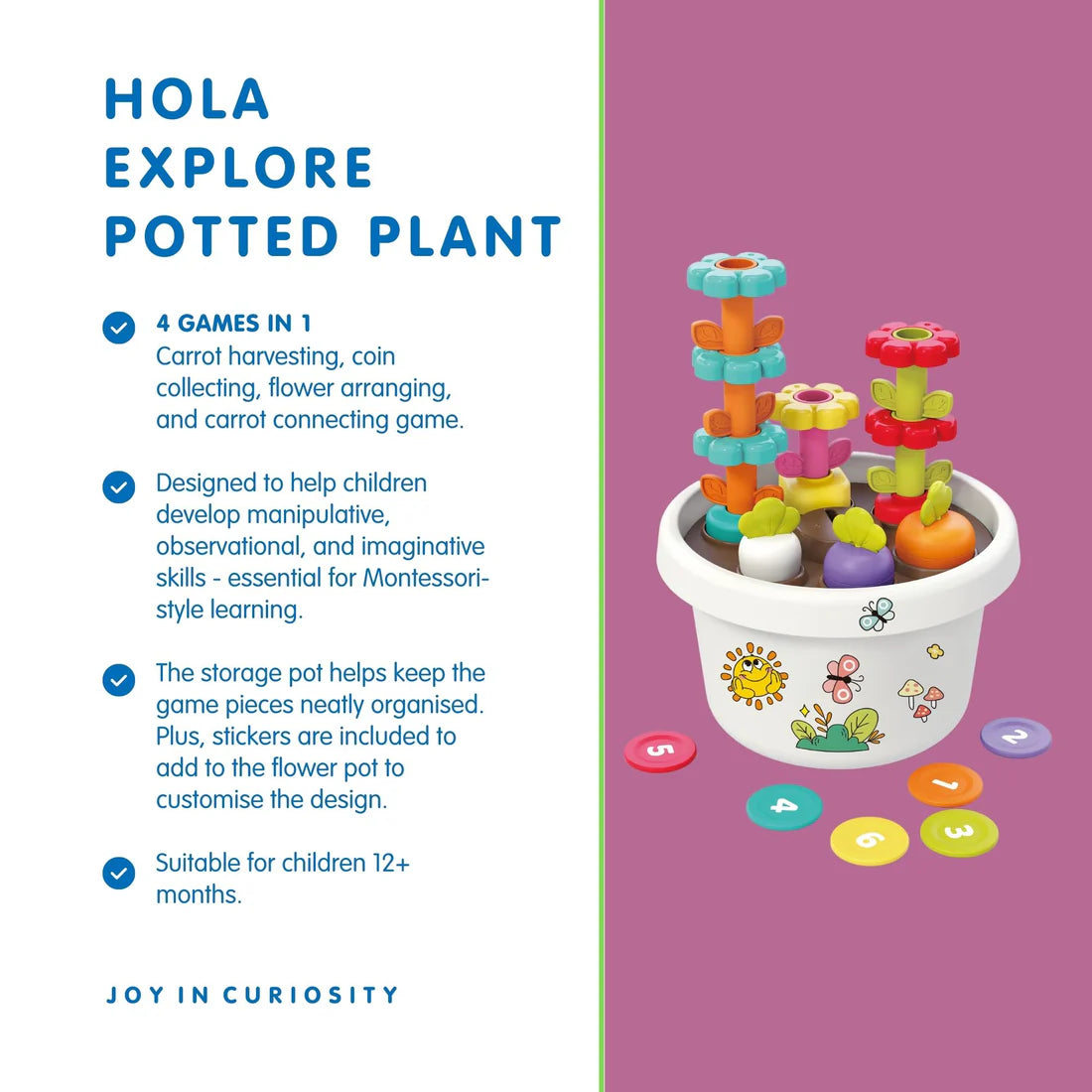HOLA - EXPLORE POTTED PLANT PUZZLE