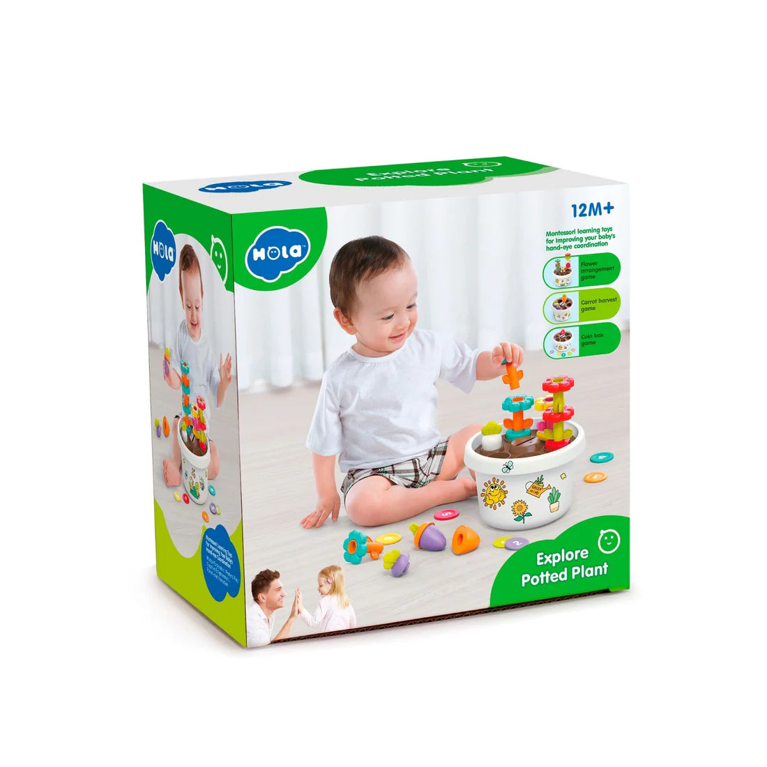 HOLA - EXPLORE POTTED PLANT PUZZLE