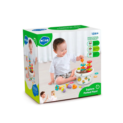 HOLA - EXPLORE POTTED PLANT PUZZLE
