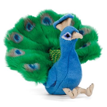 LIVING NATURE PEACOCK LARGE PLUSH - Toyworld Frankston