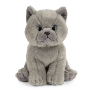 LIVING NATURE BRITISH GREY SHORTHAIR KITTEN SMALL PLUSH - Toyworld Frankston