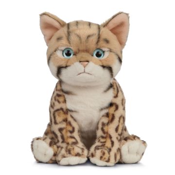 LIVING NATURE BENGAL KITTEN SMALL PLUSH - Toyworld Frankston