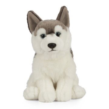LIVING NATURE - HUSKY LARGE PLUSH - Toyworld Frankston