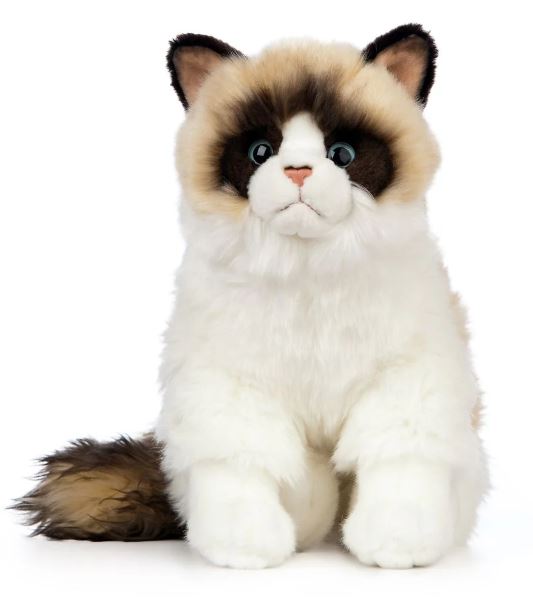 LIVING NATURE RAGDOLL CAT LARGE PLUSH - Toyworld Frankston