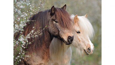 RAVENSBURGER PERFECT PONIES 150PC PUZZLE