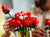 LEGO 10328 BOUQUET OF ROSES - Toyworld Frankston