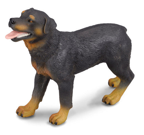 COLLECTA - ROTTWEILER