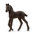 SCHLEICH - FRIESIAN FOAL - Toyworld Frankston