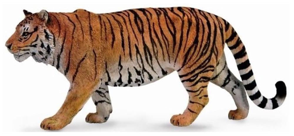 COLLECTA - SIBERIAN TIGER - Toyworld Frankston
