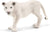 SCHLEICH - WILD LIFE - WHITE LION AND CUBS
