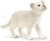 SCHLEICH - WILD LIFE - WHITE LION AND CUBS