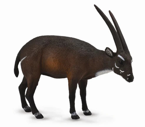 COLLECTA - SAOLA