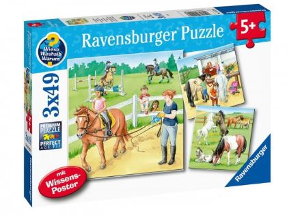 RAVENSBURGER  A DAY AT THE STABLES 3x49PC PUZZLE - Toyworld Frankston