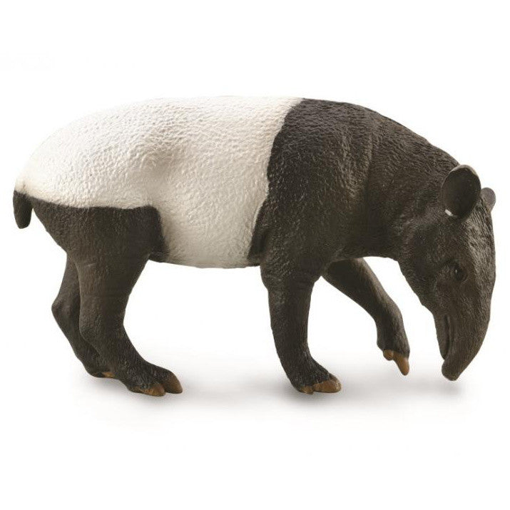 COLLECTA - MALAYAN TAPIR
