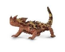 COLLECTA - THORNY DRAGON - Toyworld Frankston