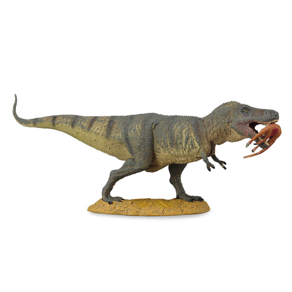 COLLECTA - TYRANNOSAURUS REX WITH PREY - Toyworld Frankston