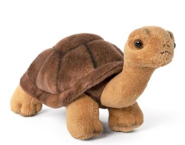 LIVING NATURE - TORTOISE SMALL PLUSH - Toyworld Frankston