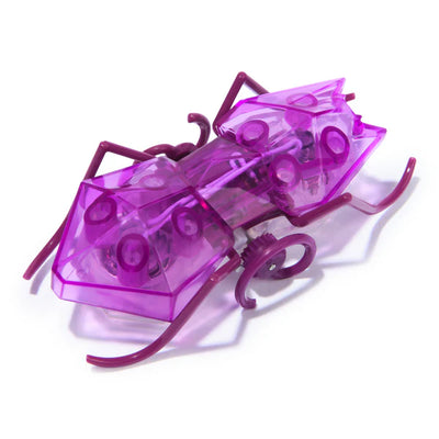 HEX BOTS - MICRO ANT PURPLE